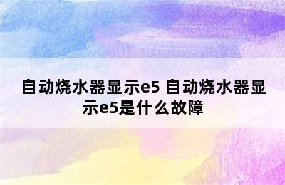 自动烧水器显示e5 自动烧水器显示e5是什么故障